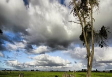 问鼎娱乐：英超：曼彻斯特市队0比4败给托特纳姆.