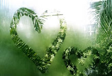 英超-萨拉赫2射1传 利物浦3-3纽卡斯尔17场不败.