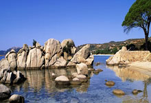 问鼎娱乐：近万名跑者齐聚黄庭坚故里 竞逐2025修水半程马拉松3-30 16：16.